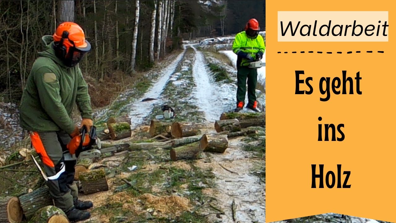 Hobbyholzen - Die Holzaktion startet ... mit Problemchen 😅