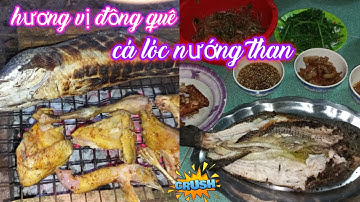 Hương vị đồng quê cá lóc nướng than /thanh vũ 68official..