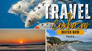 Cox’s Bazar Travel Vlog Part 1 🇧🇩 | Hotel, Infinity Pool, Buffet Breakfast & Radiant Fish World
