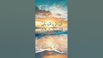 سورة الروم من الآية (17) إلى الآية (19)