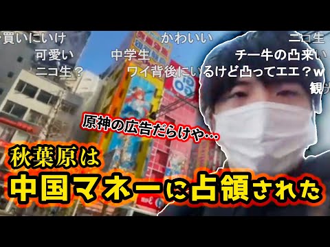 【字幕】原神の広告だらけのアキバを闊歩するもこう