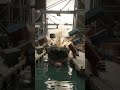 🚢 MASSIVE SHIP CRASH! The Harbor Was DESTROYED 😱💥