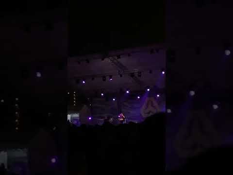 Honda&Toyota-國蛋GorDoN 2022浪人祭