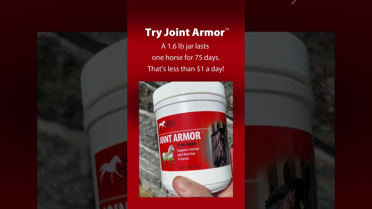 Looking for an affordable joint supplement?