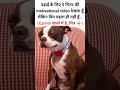 Itna chubhne laga hu sabko #shorts #funny