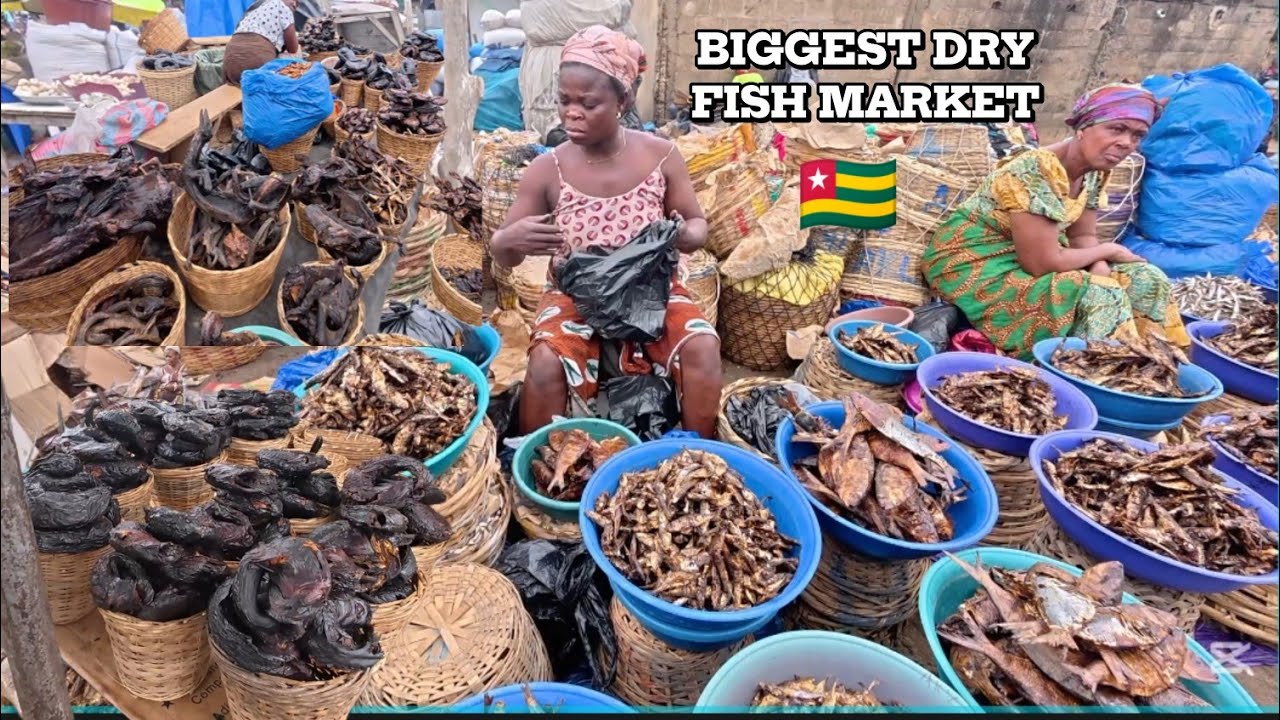 КРУПНЕЙШИЙ РЫНОК СУШЕНОЙ РЫБЫ И МЯСА ДИКИХ ПРОДУКТОВ В ЛОМЕ, ТОГО 🇹🇬, ЗАПАДНАЯ АФРИКА