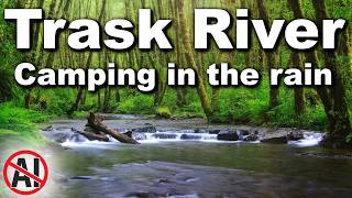 Camping in the Rain at Trask River | Family Adventure in Oregon