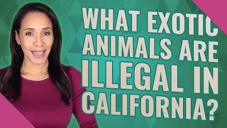 What exotic animals are illegal in California