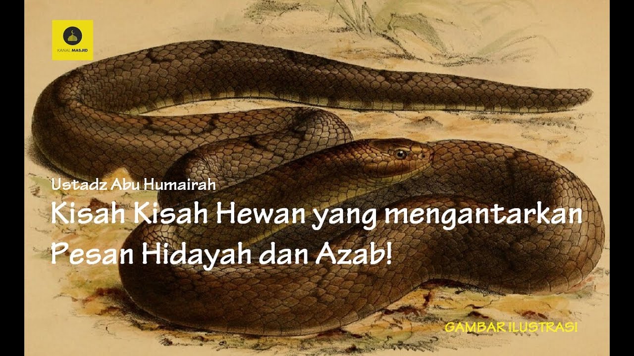 Search Youtube Channels Noxinfluencer