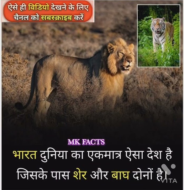 AAO KHUC JANNKARI LETE H