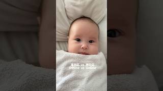 双子の温度差がおもしろい　