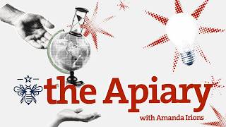 Apiary Cohort Interview - Amanda Irions