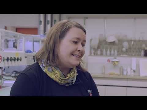 Food Chemistry – Forschung