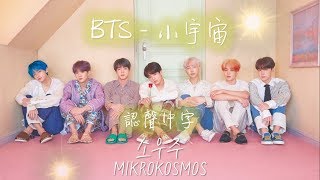 《認聲韓中字》BTS - Mikrokosmos(小宇宙)