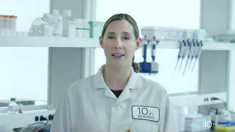 Visium Spatial Gene Expression Protocol | Tissue Staining