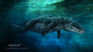 Амбулоцет Ambulocetus Natans