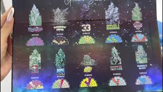 Sluggers Disposable Vape 2gram 1gram Vaporisateurs tchèque distributeur de vape à vendre