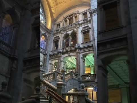 Video: Varför är Antwerpen i Belgien en spännande resa i Europa