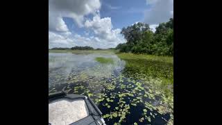 Lake hernando to blue spring airboat run
