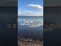 ウトナイ湖を見てきたべや( ▔&bull;&Theta;&bull;▔ )#やべーべや #ウトナイ湖 #熊旅 #道の駅の旅