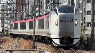 E259系0番台ｸﾗNe018編成　成田エクスプレス22号大船行きが恵比寿駅4番線を通過するシーン
