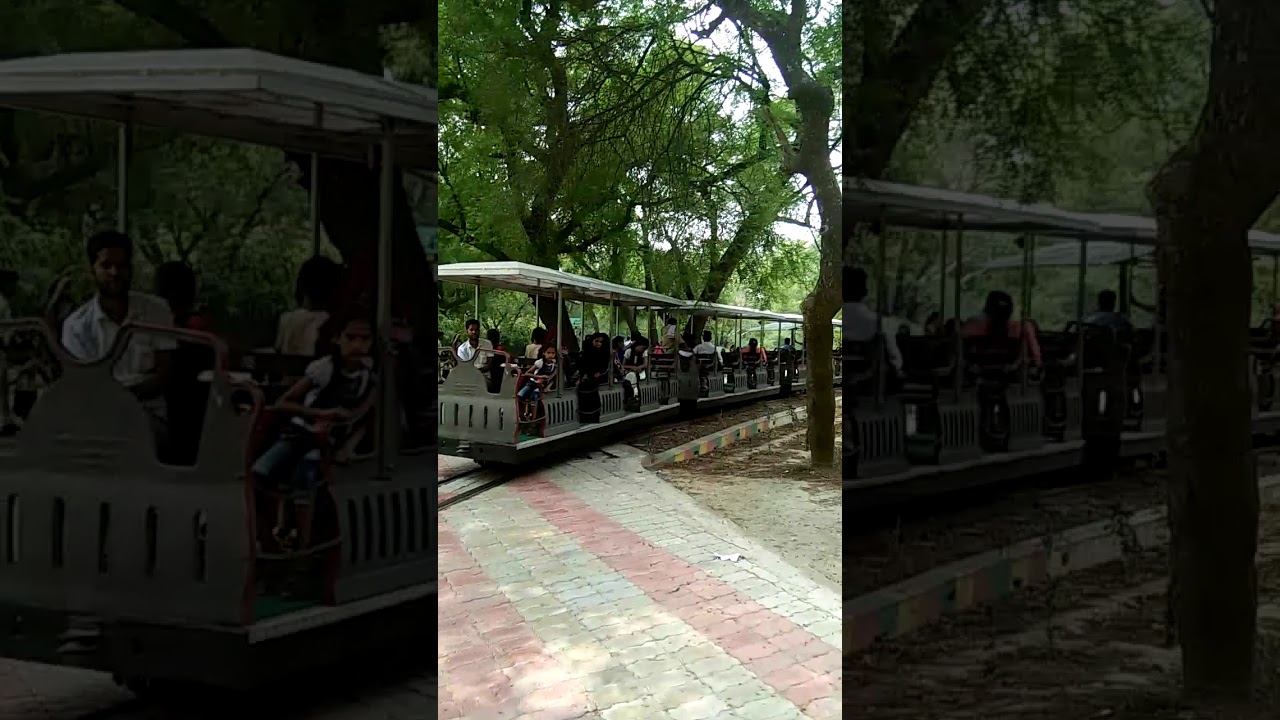 Kanpur Zoo YouTube