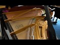 W Hoffmann T-177 - Grand Piano - La Mer (Beyond the Sea)