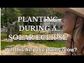 PLANTING DURING A SOLAR ECLIPSE