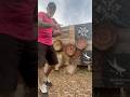 Oops! #knifethrowing #trickshot #blooper