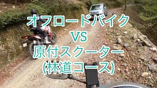 Download Lagu 林道を走るオフロードバイクに原付スクーターで勝負を挑んでみた(勝てるわけない) MP3