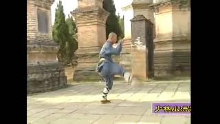 Xiao Hong Quan Shaolin Kung Fu