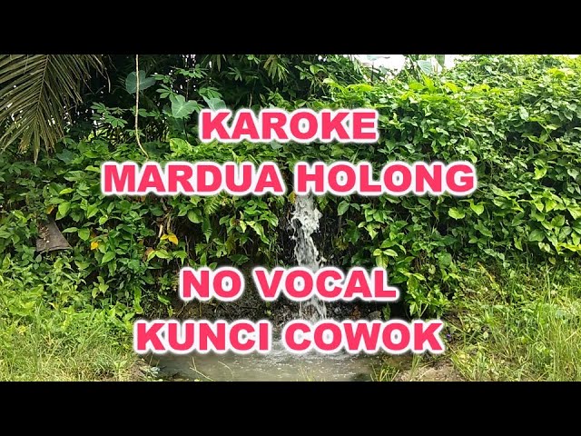 Download Mardua Holong Karaoke Mp3 Mp4 3gp Flv Download