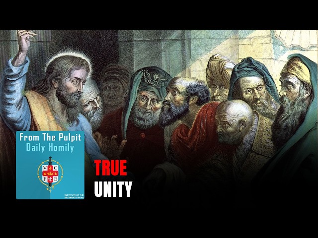 Home 2 Daily IVE Homilies, June 2nd, 2026 - True Unity