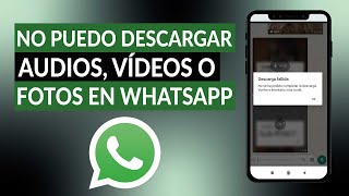 Why can't I download audio, photos, or videos from WhatsApp? - Solution screenshot 5