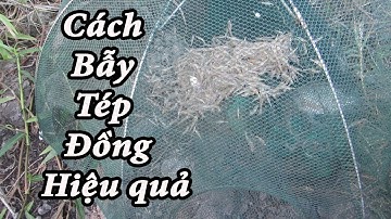 Đặt lòng bát quái bắt tép đồng , kiếm tiền trăm dễ dàng