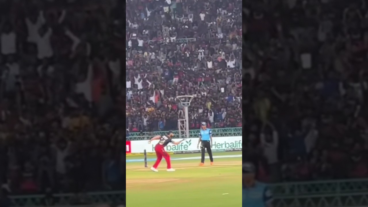 Kohli catch of stoinis vs dc