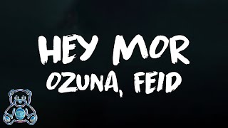 🎵 Hey Mor - Ozuna, Feid | Ozutochi
