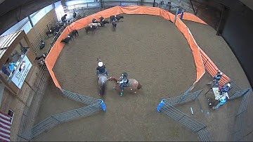 Big Sky Ranch Sorting Saddle Series #3 - #7 Sort - Round #2 - Ride #10