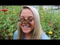 RAISING Monarch Butterflies! AMAZING!!