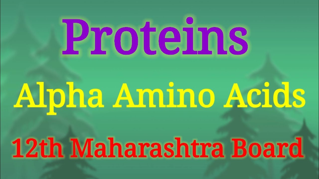 7. Proteins : Introduction And Alpha Amino Acids | Class 12th Board ...