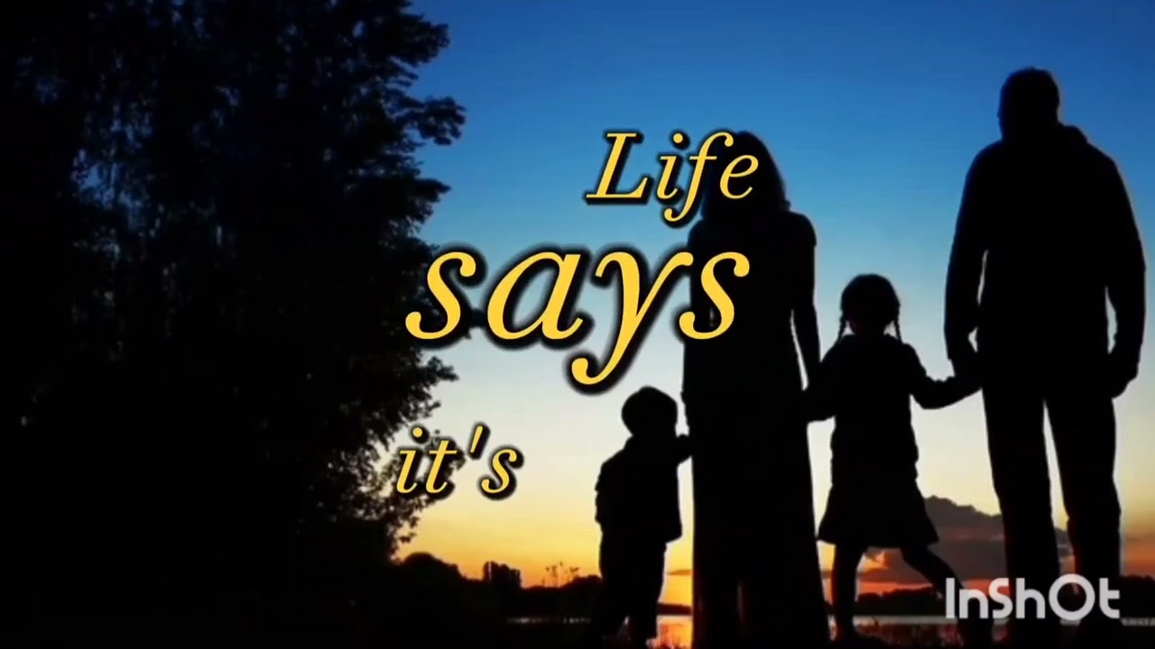 The View - Zachary Swarms (Lyric Video) 