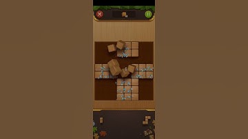 Daily block jigsaw puzzle game solving, 2022(3)