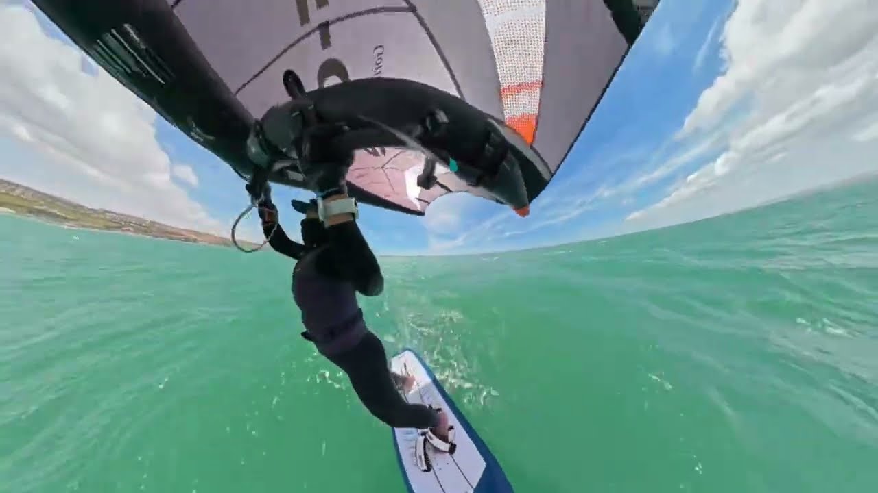 [윙포일]26.03.10 오전. 아침 6시부터 나무가 흔들 흔들