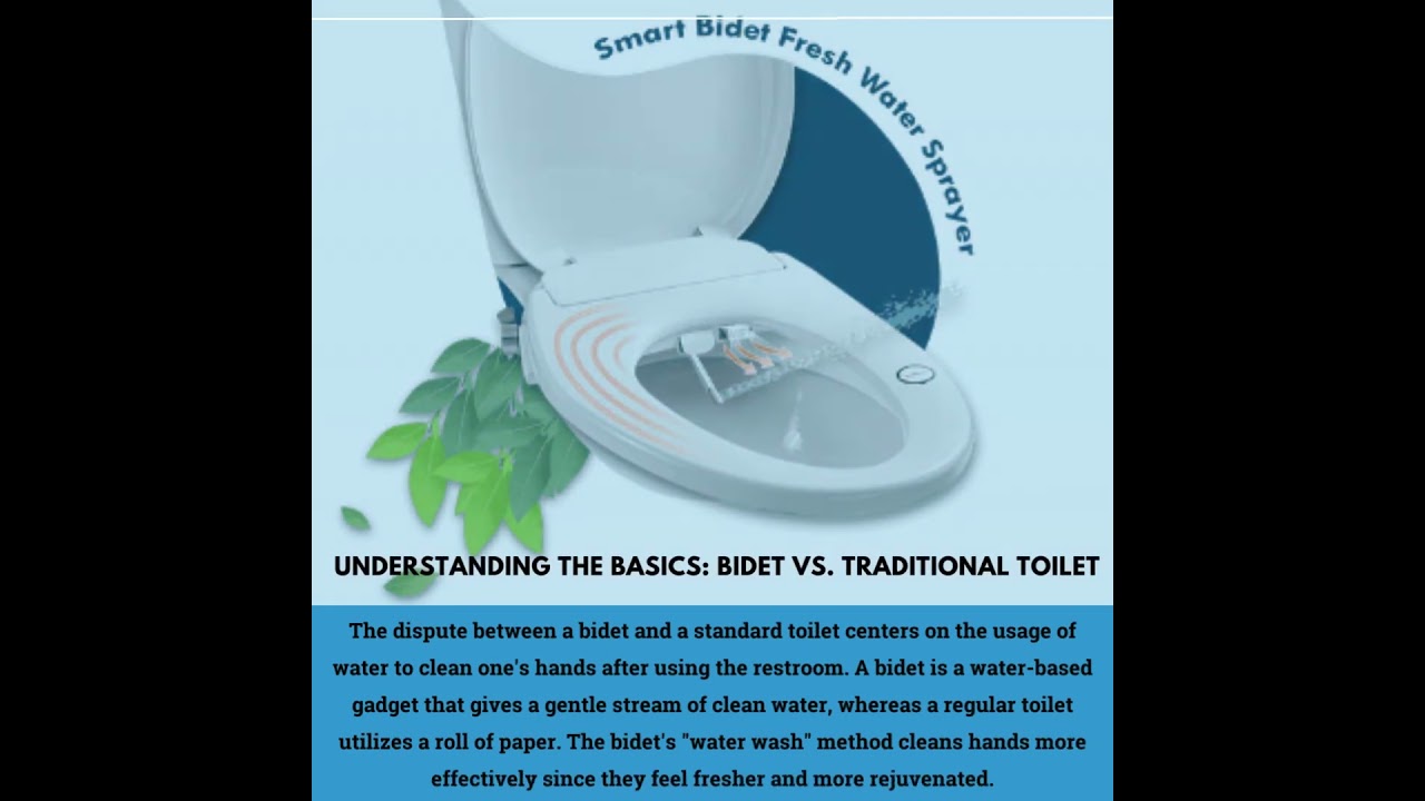Butt Buddy Rethinking Routine Bidet vs Traditional Toilet