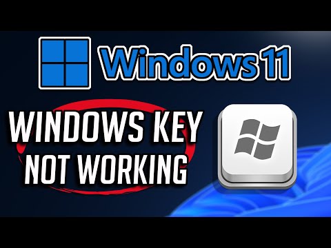 How to Windows Key Not Working Windows 11
 | Quick Guide 2022