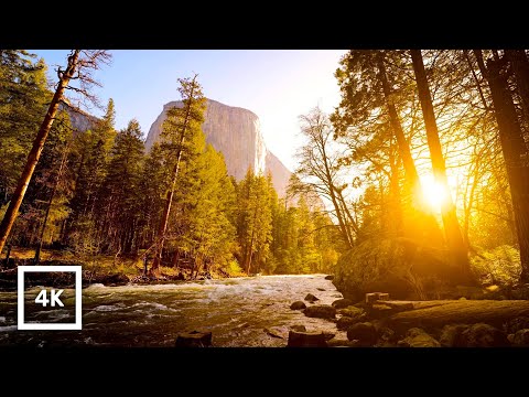 4K Merced River Sunset, Yosemite | Gentle River Sounds For Sleep x Relax | Natural White Noise