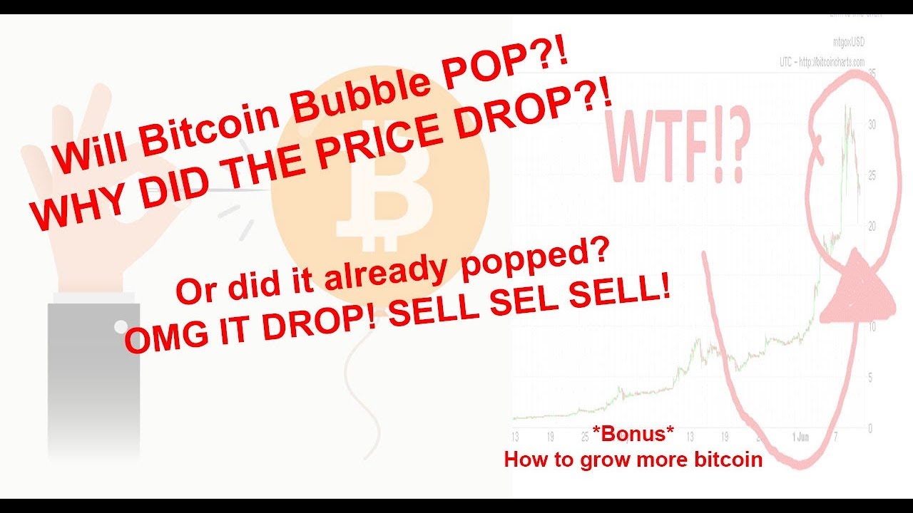 bitcoin bubble popped