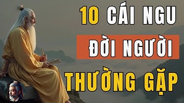 Cổ Nhân Dạy   10 Cái Ngu Thường Gặp Nhất Trên Đời – Triết Lý Cuộc Sống