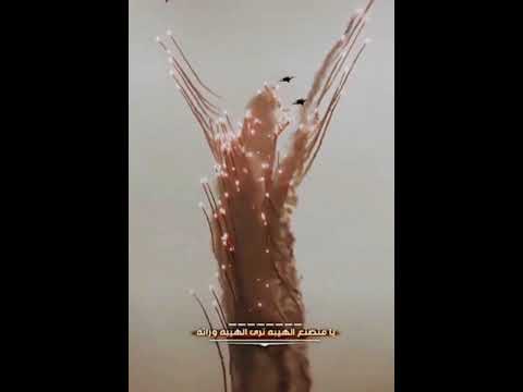 صقور المملكة العربية السعودية