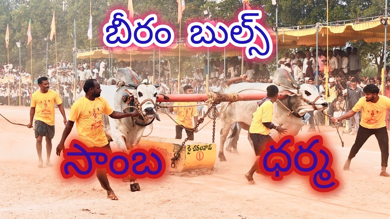 సాంబ ధర్మా సీనియర్స్ లో నరసరావుపేట లో3వ బహుమతి కొట్టాయి